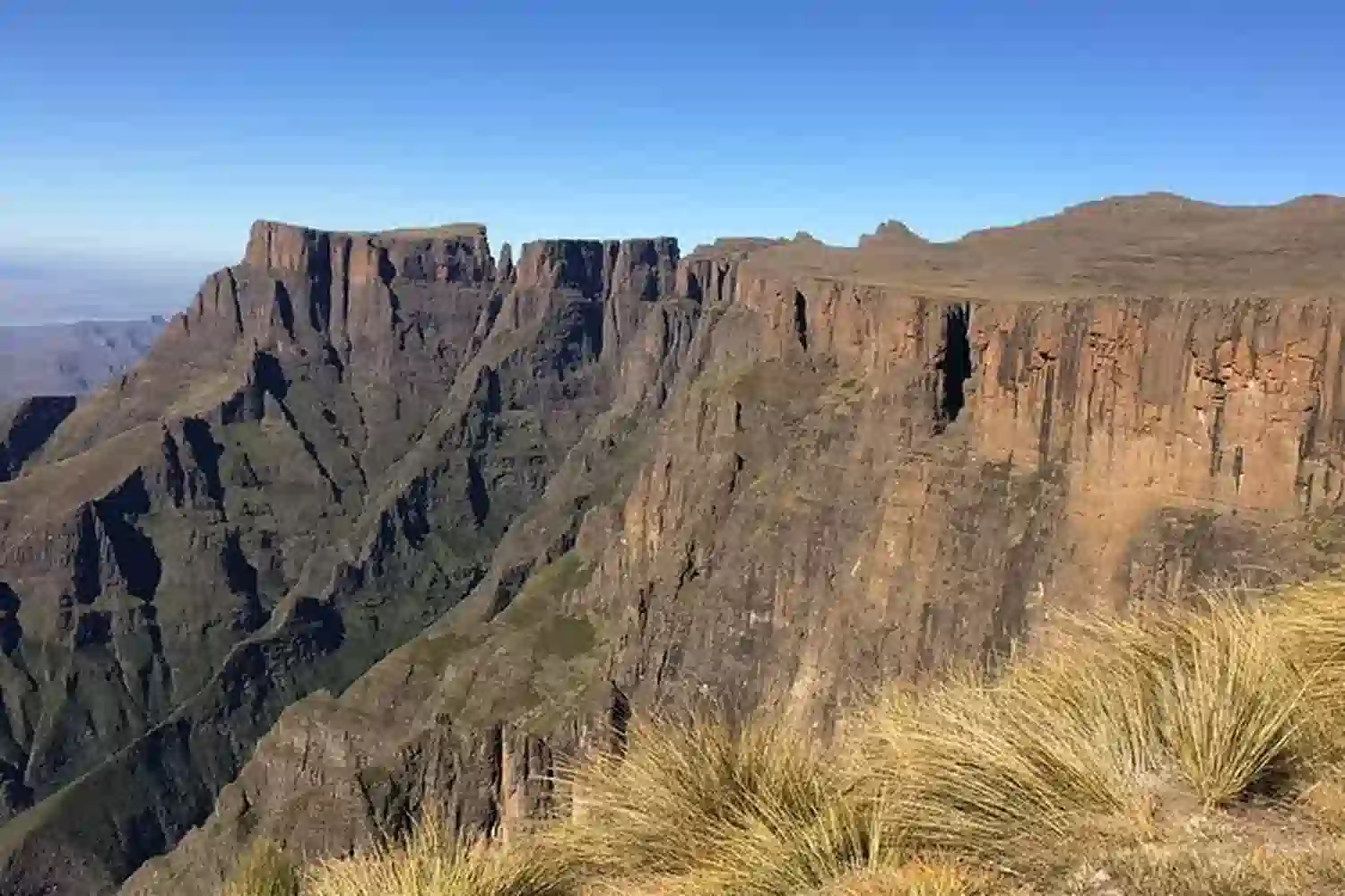 Suid -Afrika: Mafadi