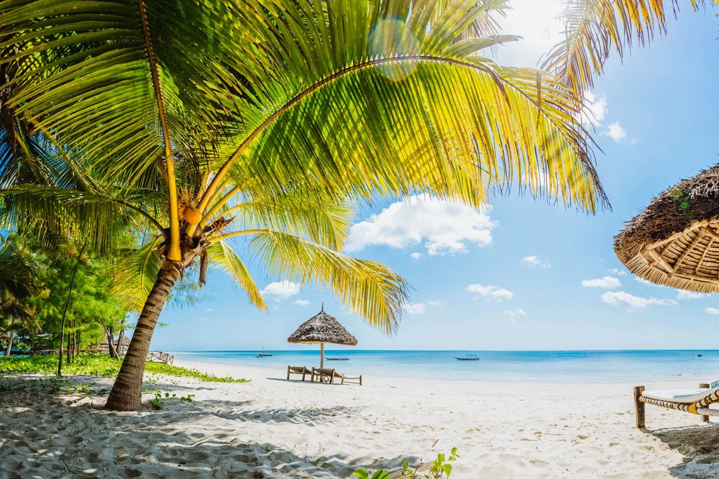 Best Mafia Island Tours in Tanzania 2026/2027