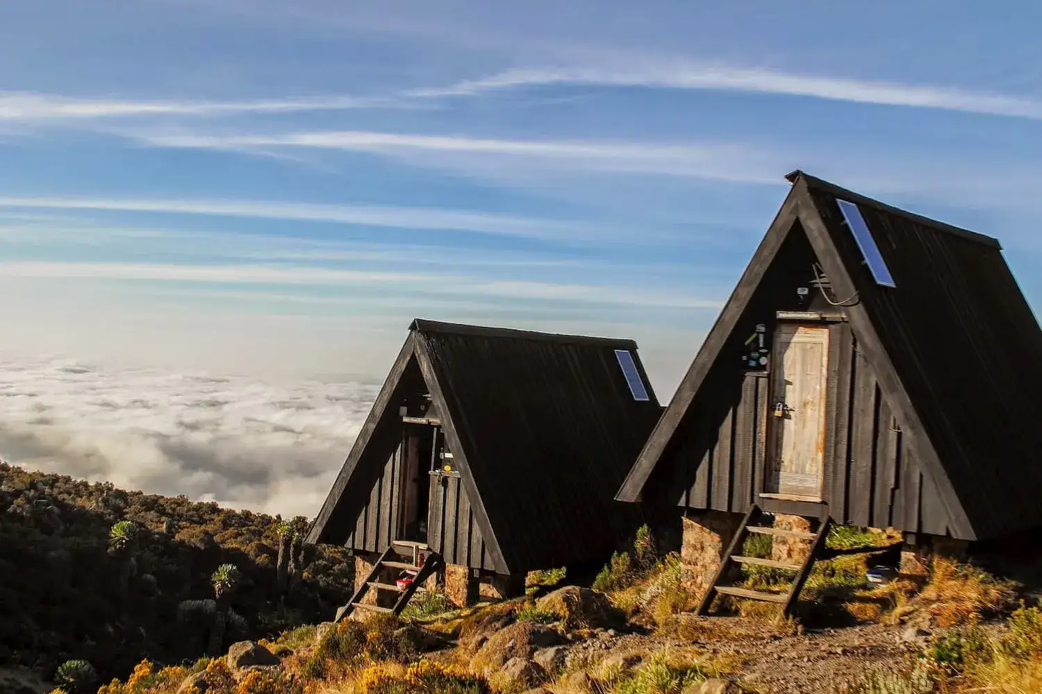 Marangu route Kilimanjaro day climb tour