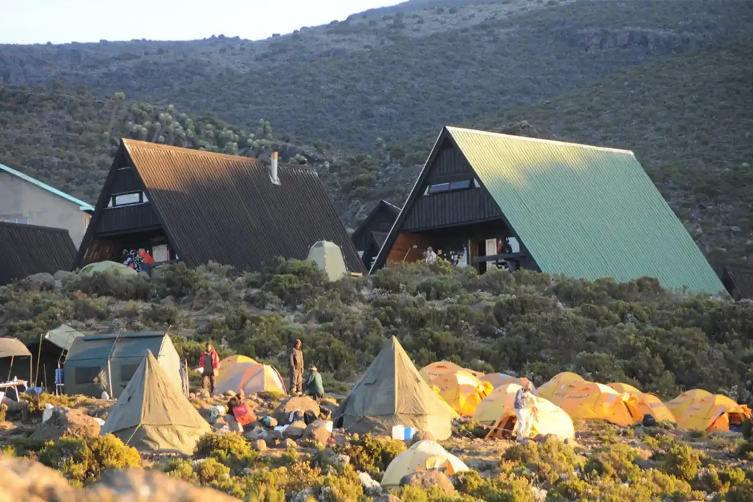 Ruta Marangu del Mont Kilimanjaro de 6 dies