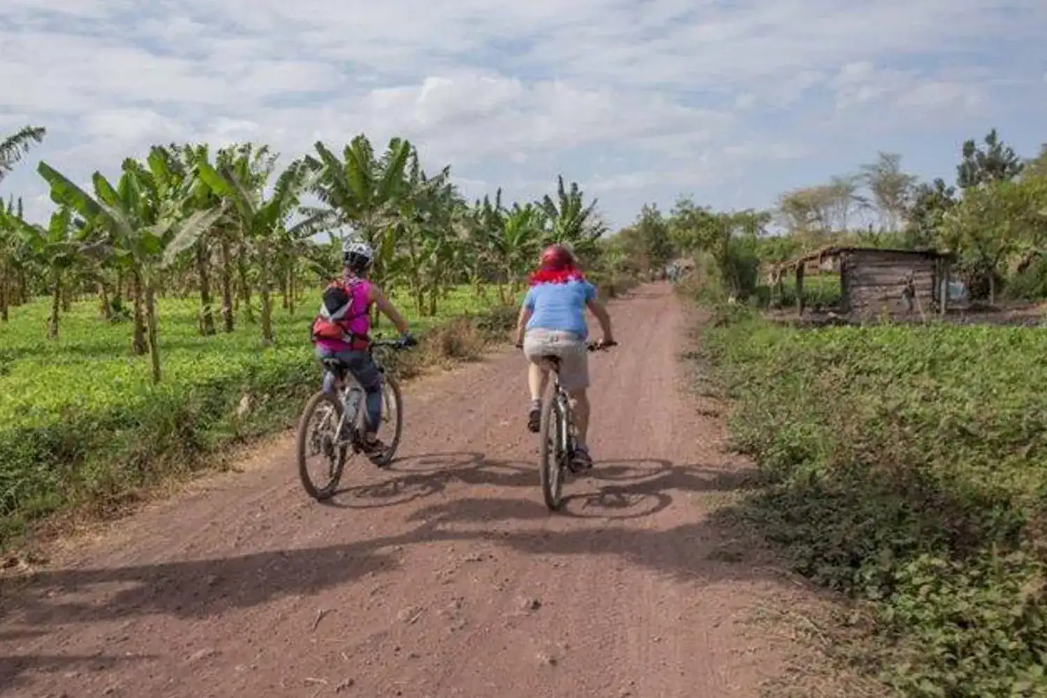 Materuni waterfalls coffee cycling tour