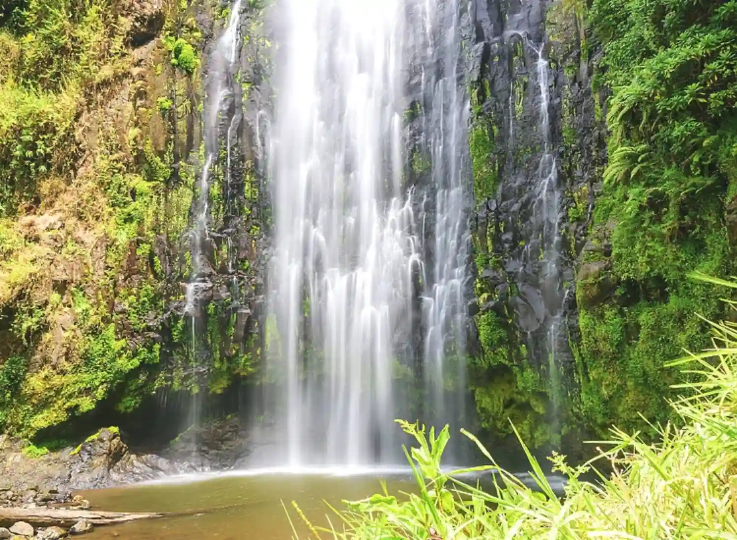 Materuni Waterfalls Nature and Culture