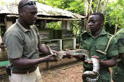 Meserani Snake Park