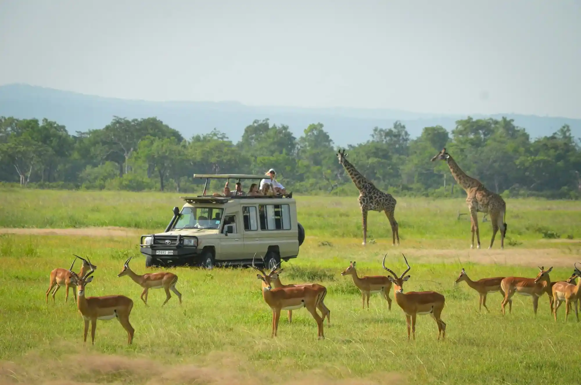 Best National Parks to Combine in Tanzania Safari