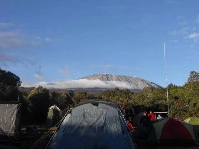 millennium camp on kilimanjaro Millennium Camp on Kilimanjaro - What to Expect