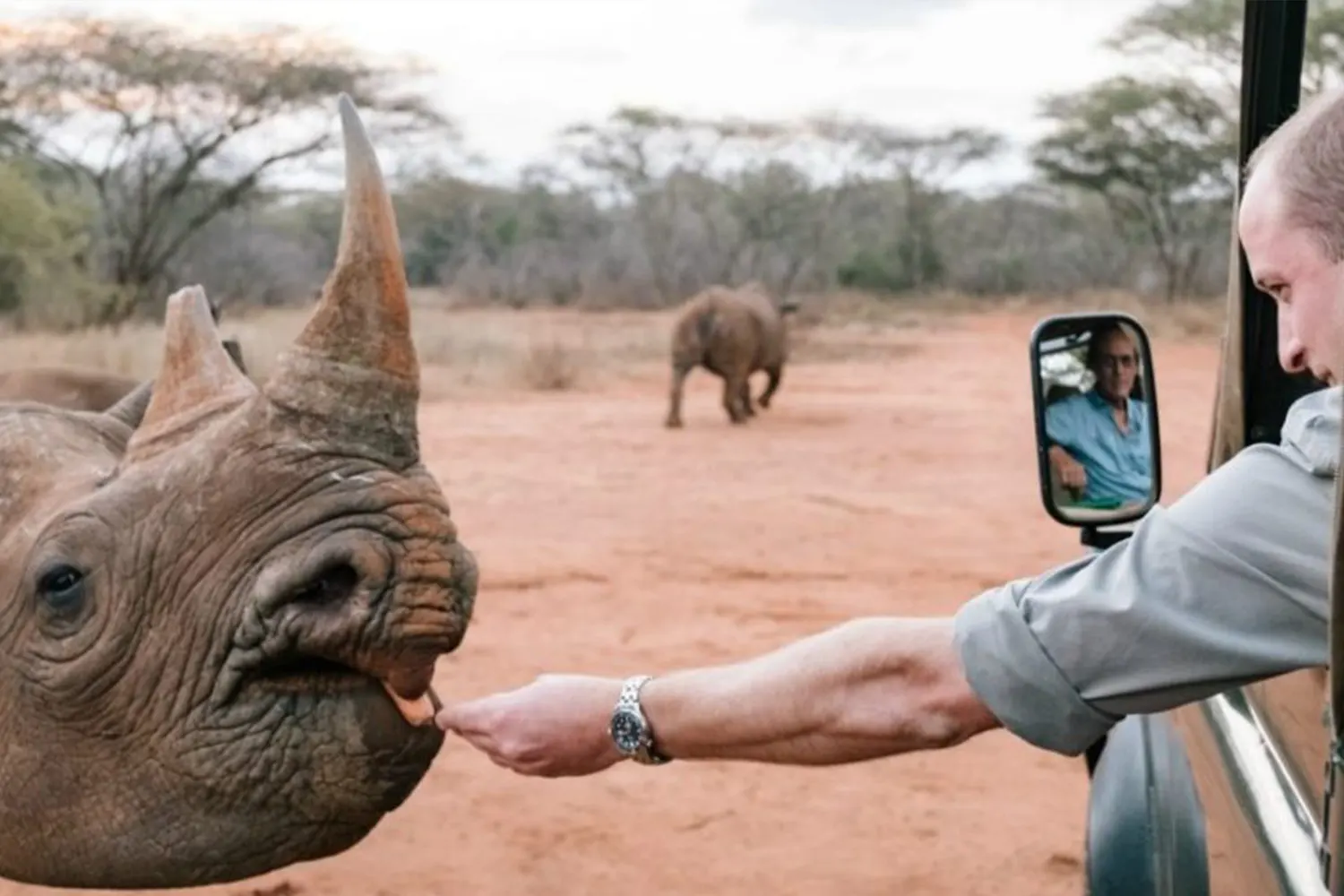 Excursió d'un dia a Mkomazi Safari privat