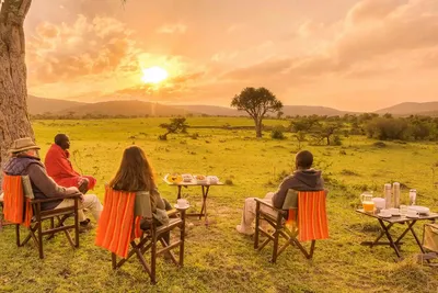 The Best 3-Day Mkomazi Safari Tour