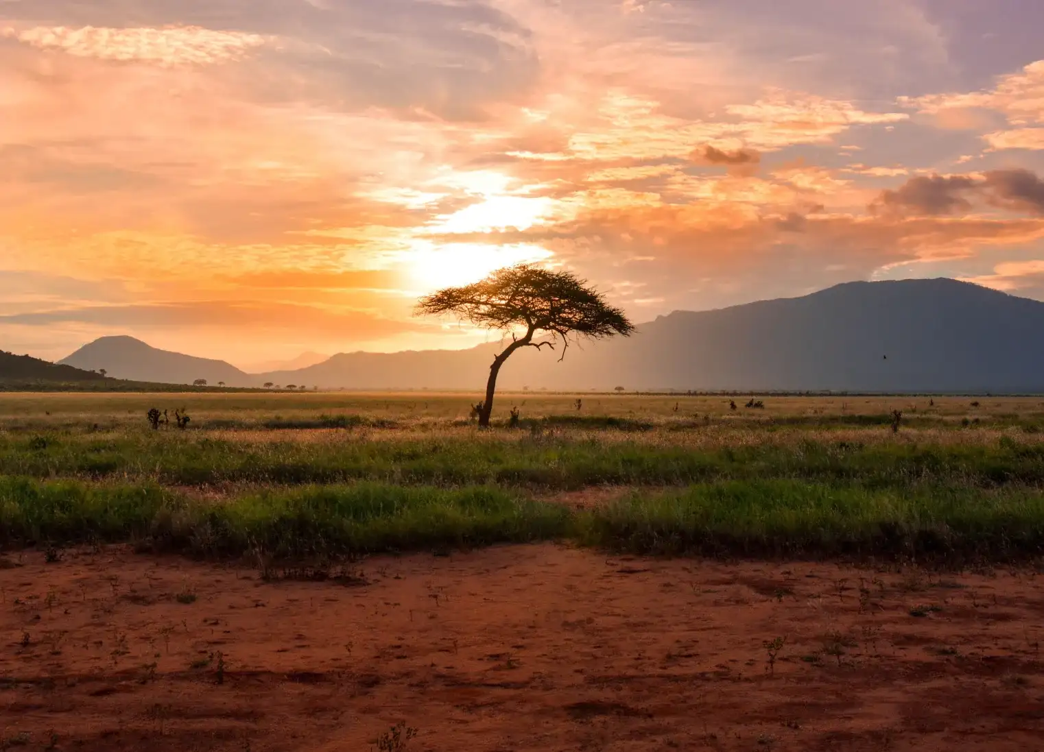 The Essential 4-Day Mkomazi