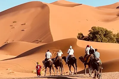 3-дневное сафари Крюгера: