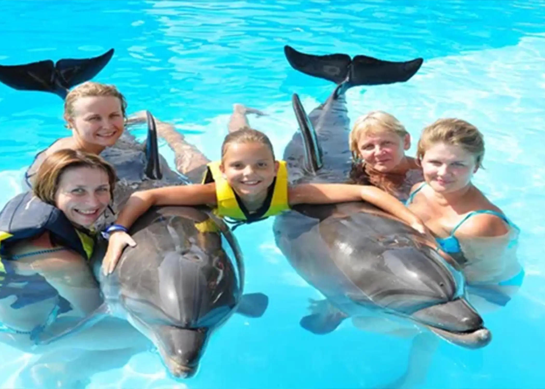 Swimming with dolphins