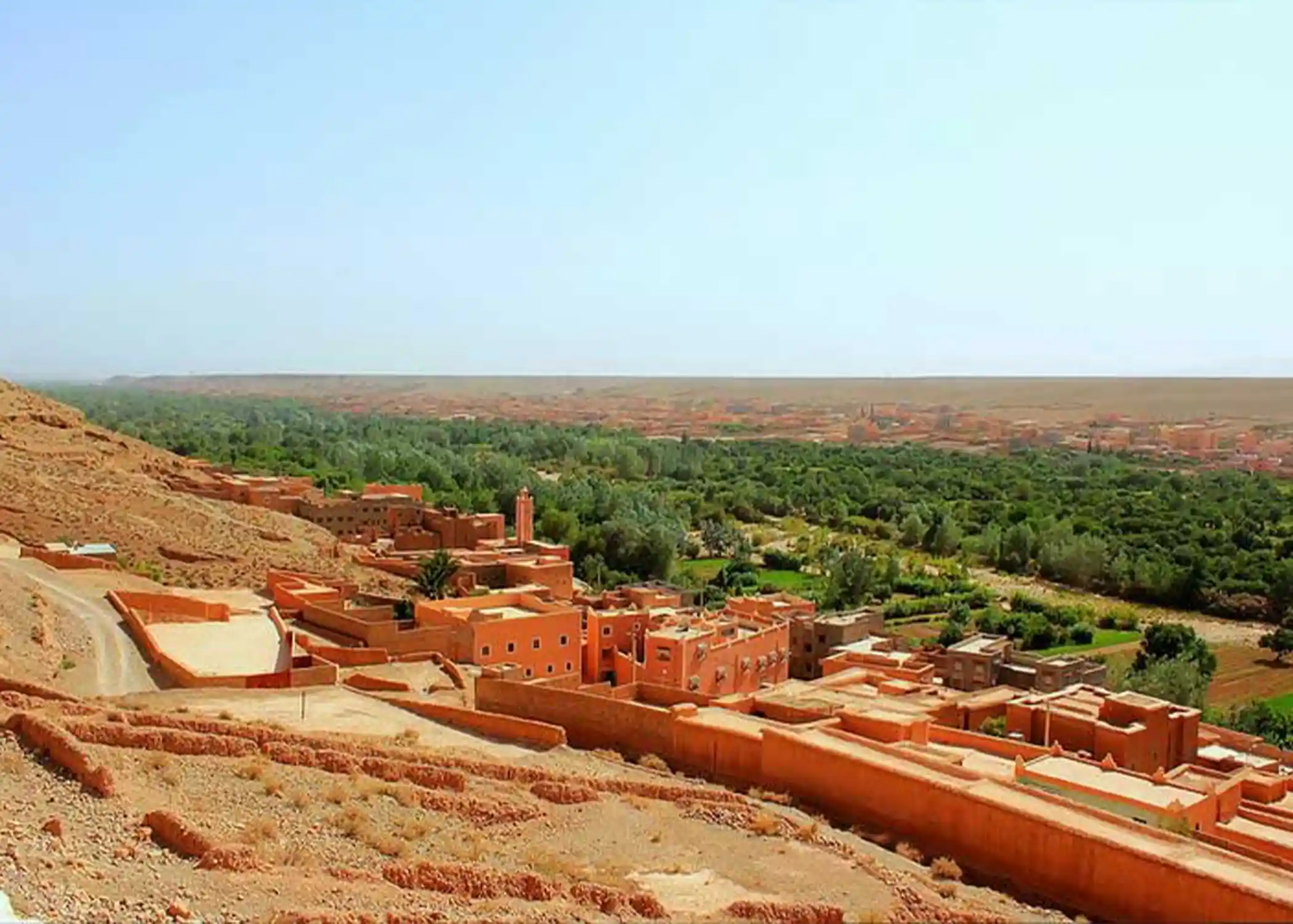 Visit the Oasis of Skoura