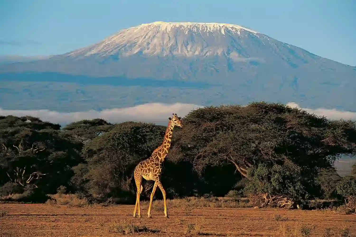 Mount Kilimanjaro in Tanzanië