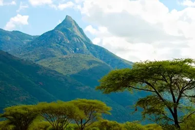 Поход по горе Лонгидо