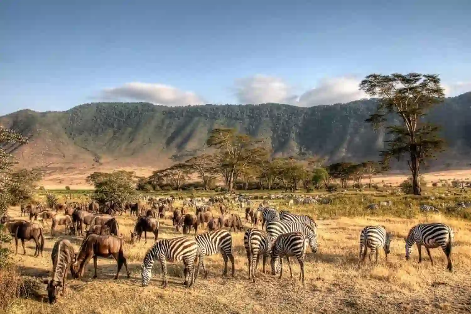 Blick auf den Ngorongoro-Krater