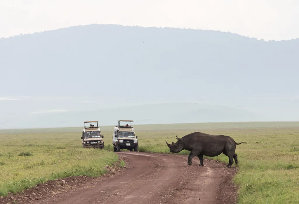 4 Day Luxury Serengeti Ngorongoro Safari