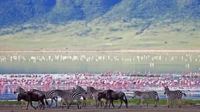 Gita di un giorno di cratere ngorongoro