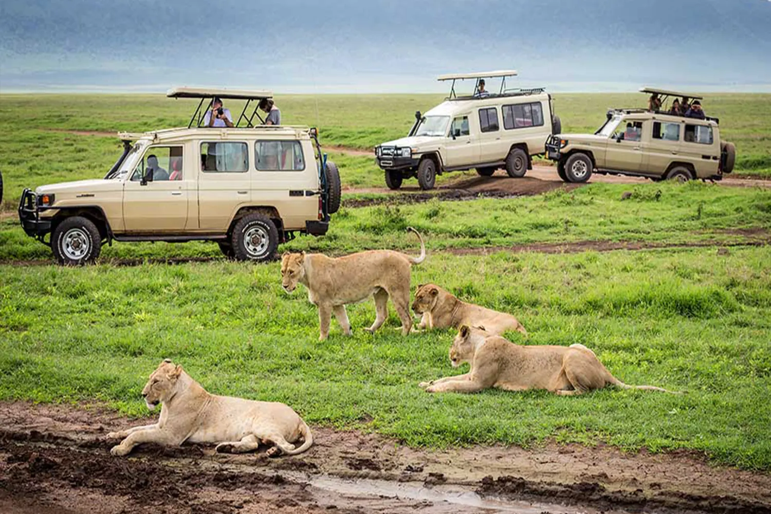 2 Days Tarangire and Ngorongoro Private Safari