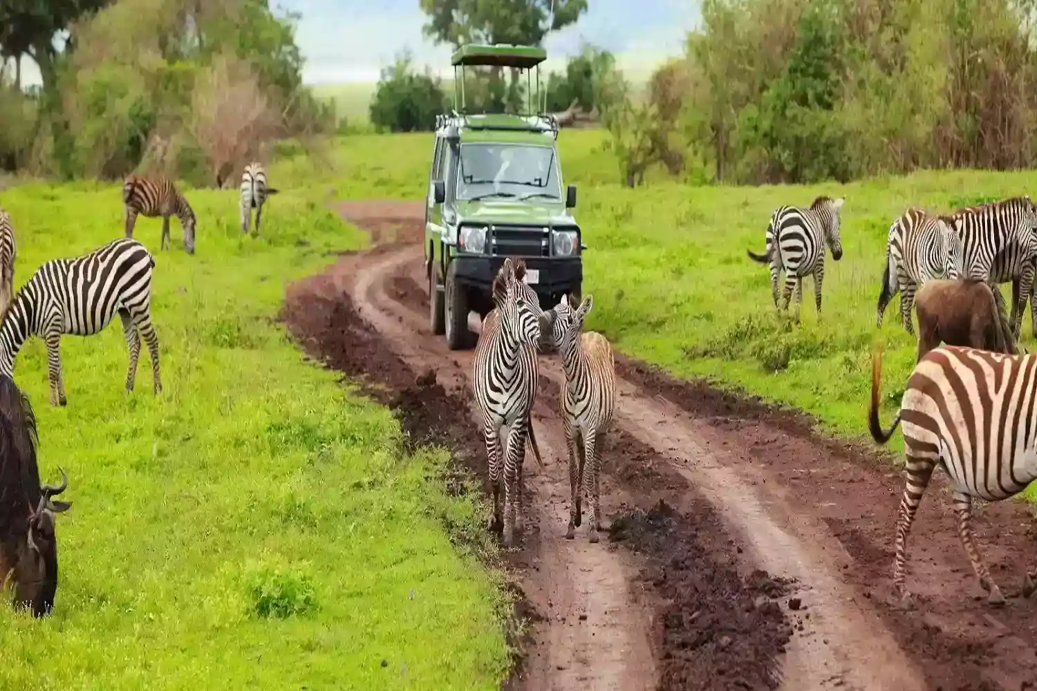 Ngorongoro Ngorongoro Conservation Area