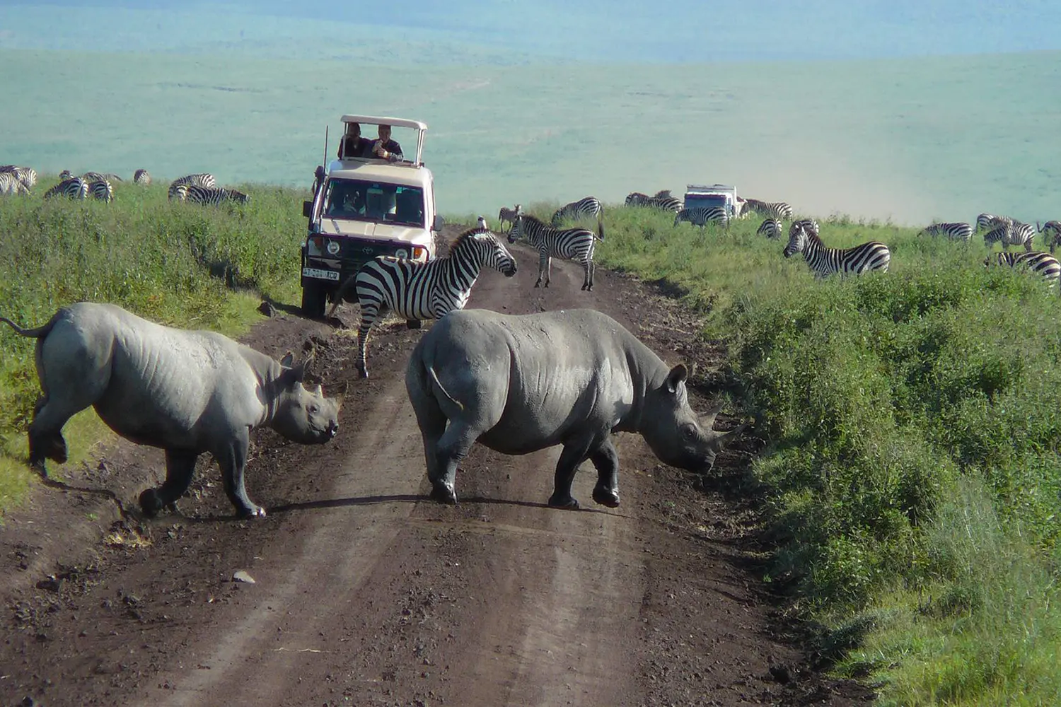 Ngorongoro Day Trip Private Safari