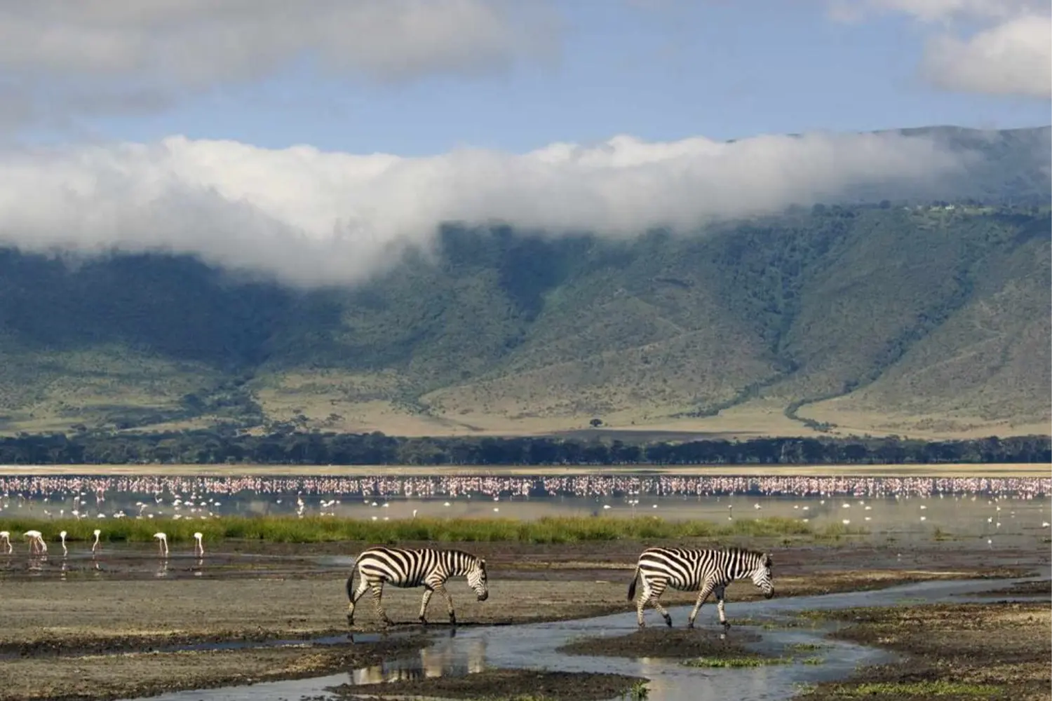Paquet de safari privat de 2 dies a Tanzània al llac Manyara i Ngorongoro