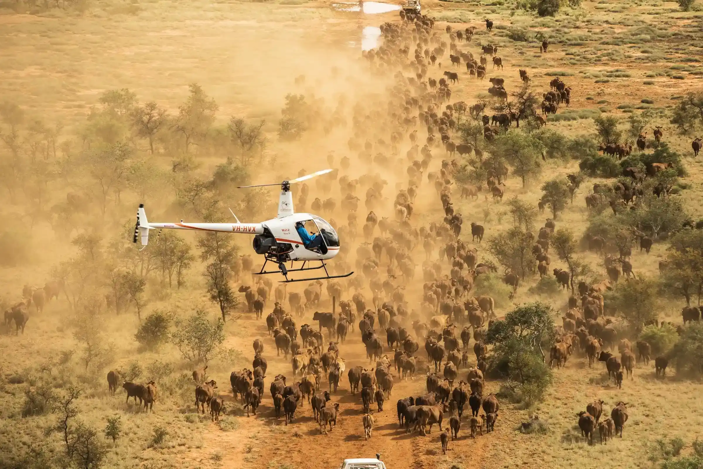 8-Day Luxury VIP Fly-In Safari
