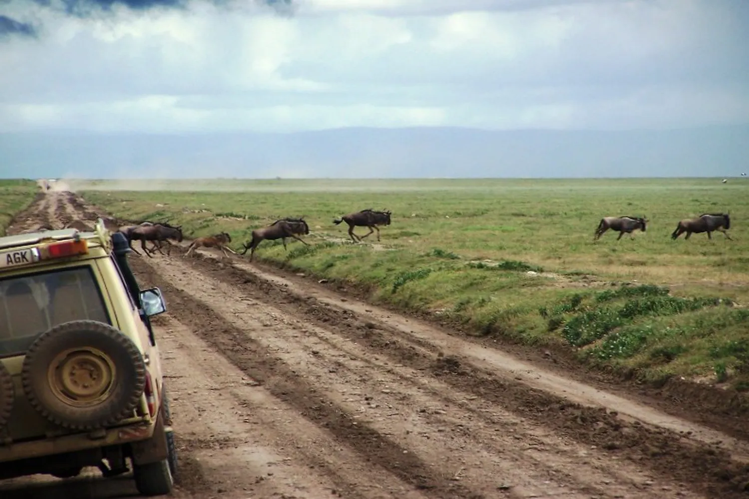 Tansania Touren und Safaris für Northern Circuit Lodges 2026–2027