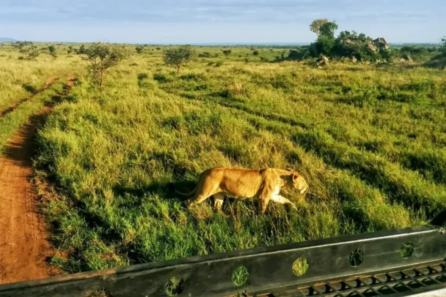 Northern versus southern Tanzania safari comparison