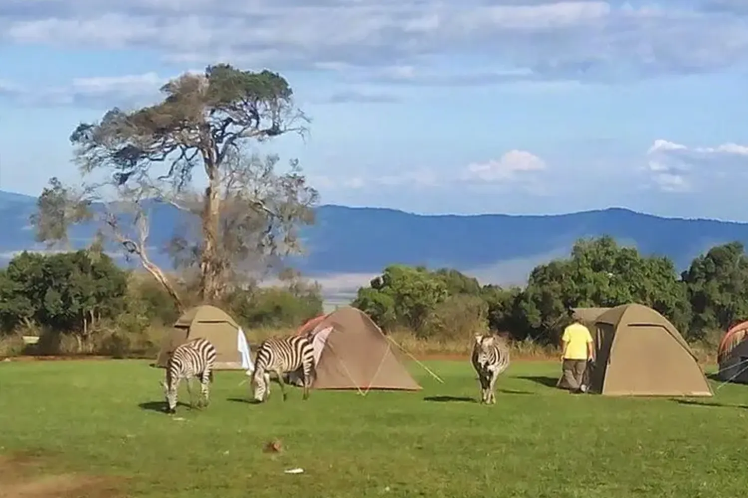 Safari pressupostari de 5 dies a Tanzània