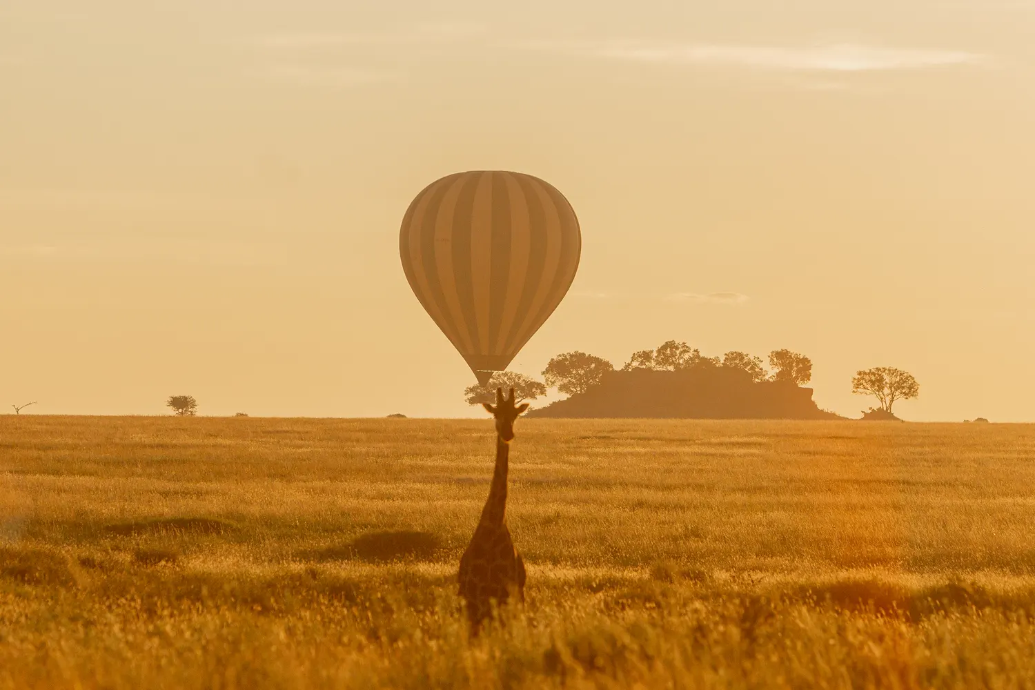 Safari en globus al Serengeti de 7 dies