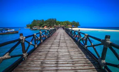 Zanzibar'dan Hapishane Adası (Changuu Adası) Turu