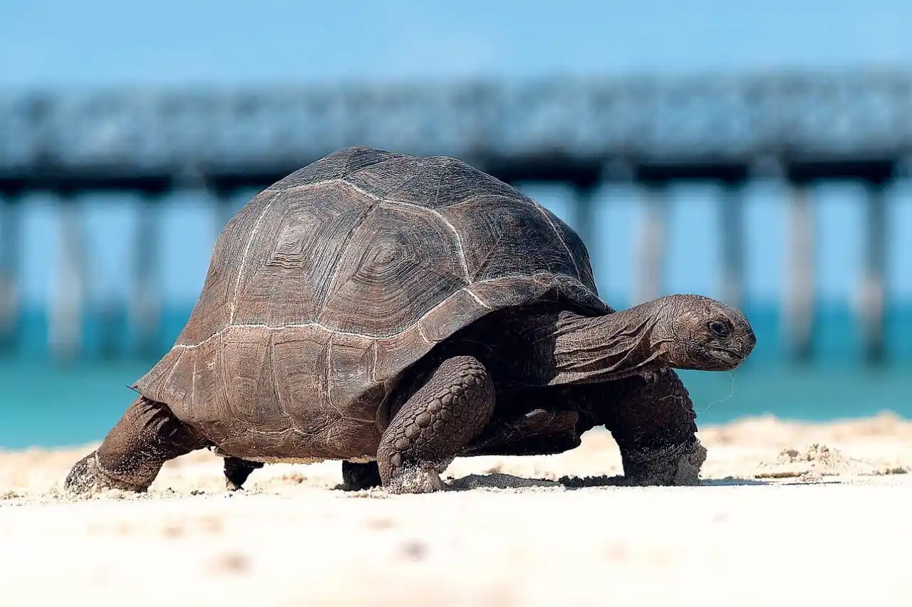 8 days Zanzibar holiday tour package