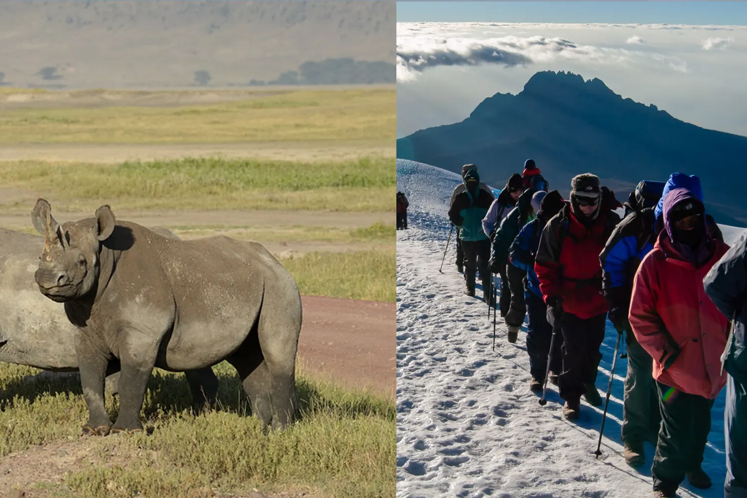 Kilimanjaro Marangu Route and Safari (9 Days)