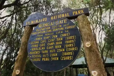 Camping on Mount Kilimanjaro Rongai Route