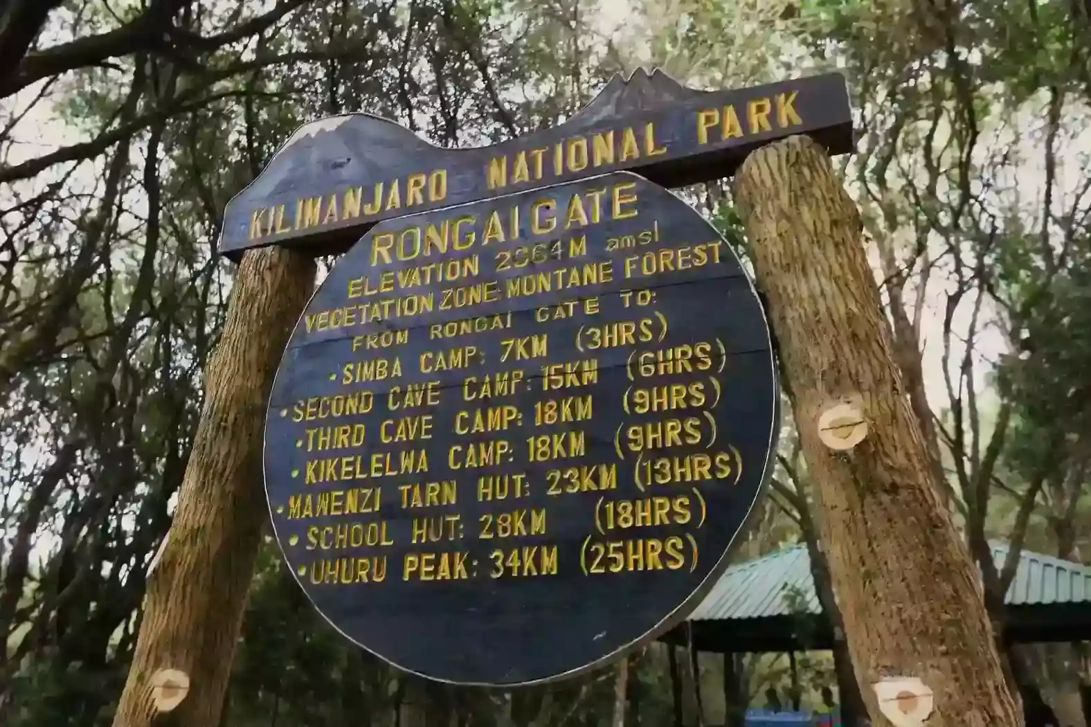 Rongai Route on the northern side of Kilimanjaro