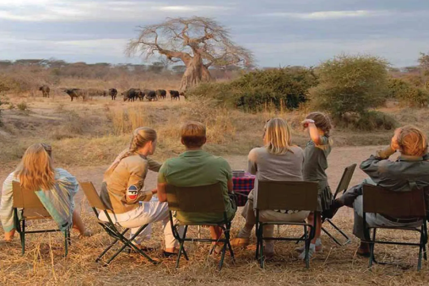 Tanzania southern safari