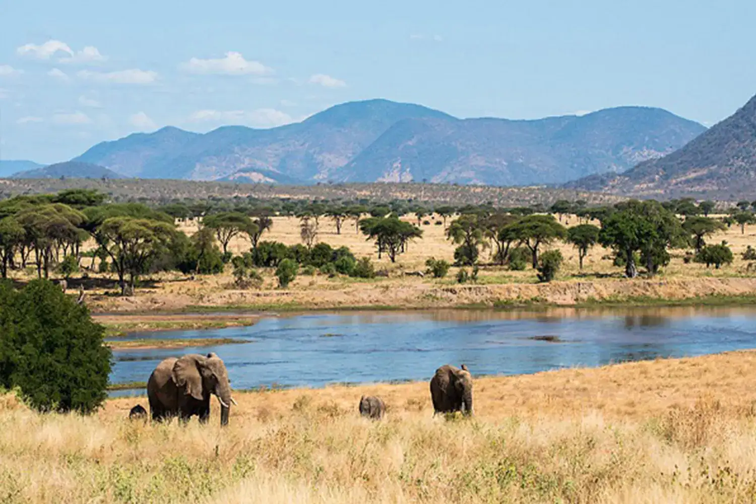 4 DAYS 3 NIGHTS RUAHA NATIONAL PARK