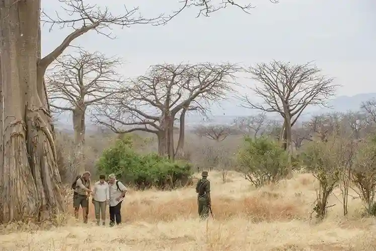 Walking Safari in Ruaha National Park in Tanzania