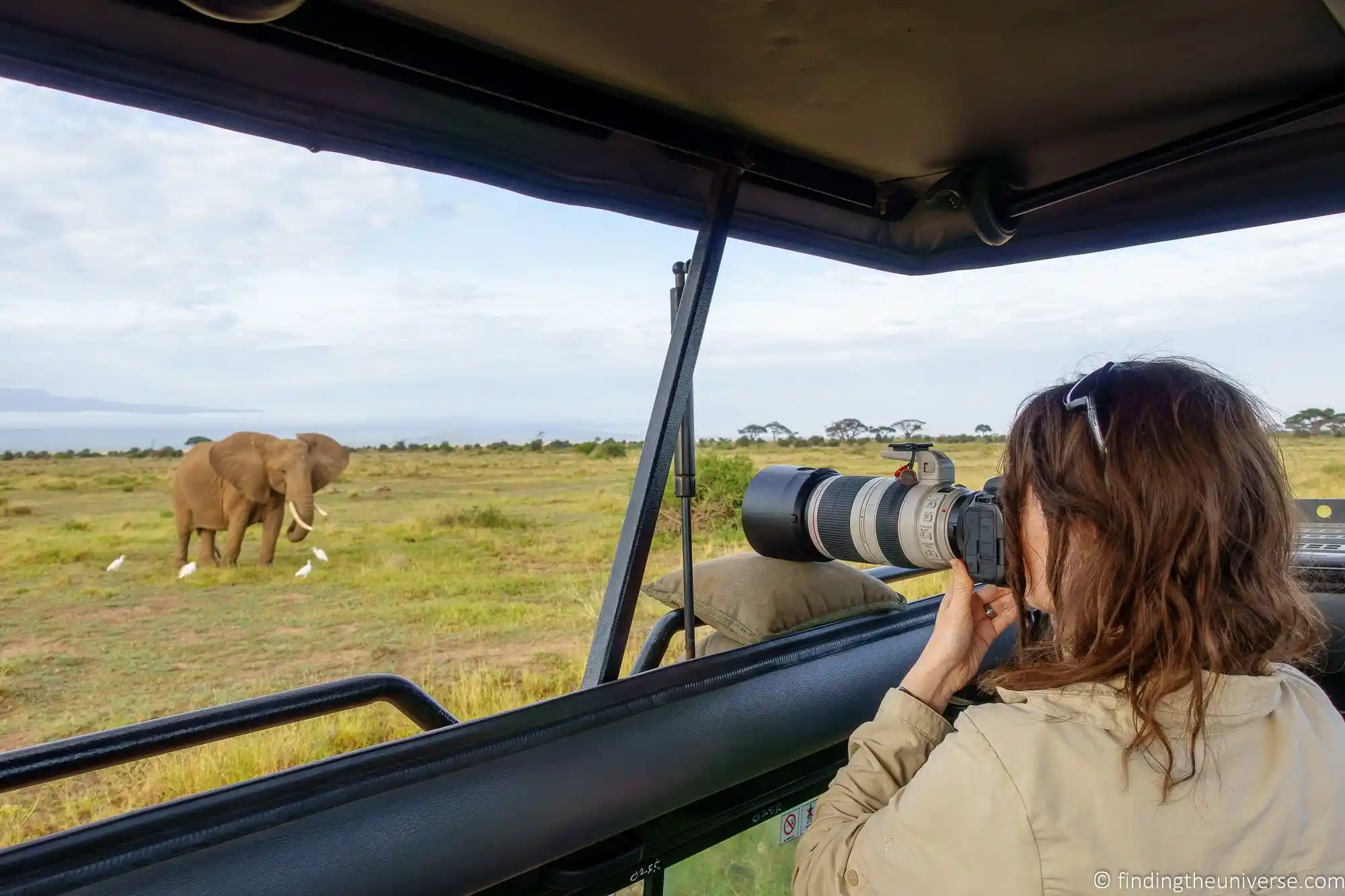 Eines i equips de Safari