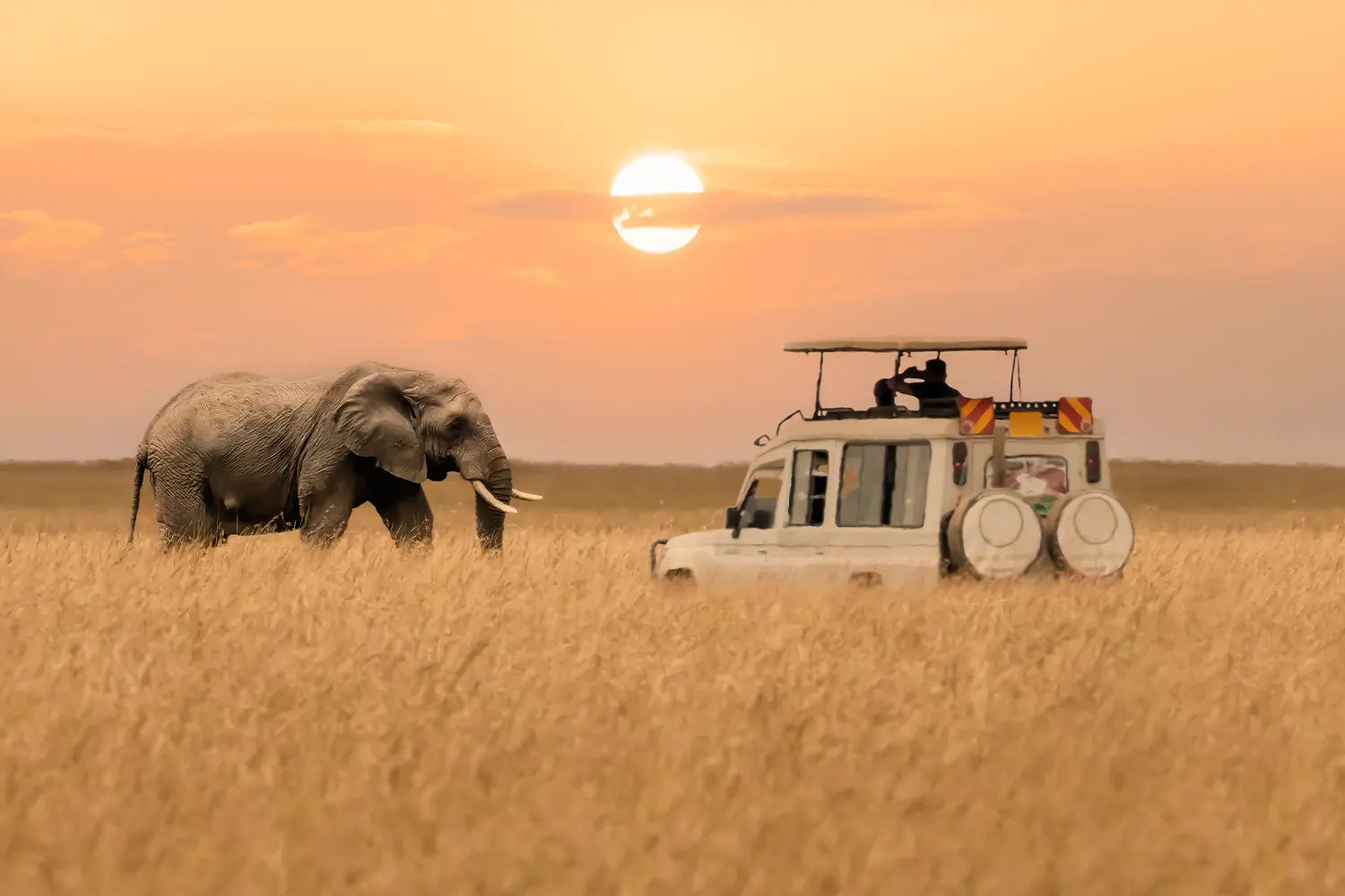 Consells de seguretat dels safaris de Tanzània