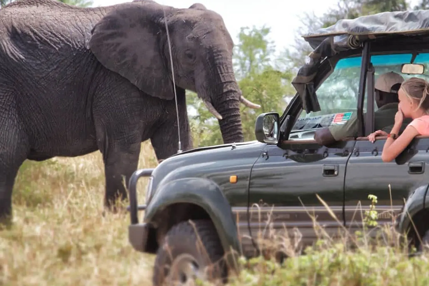 Safari privat de 3 dies al Serengeti