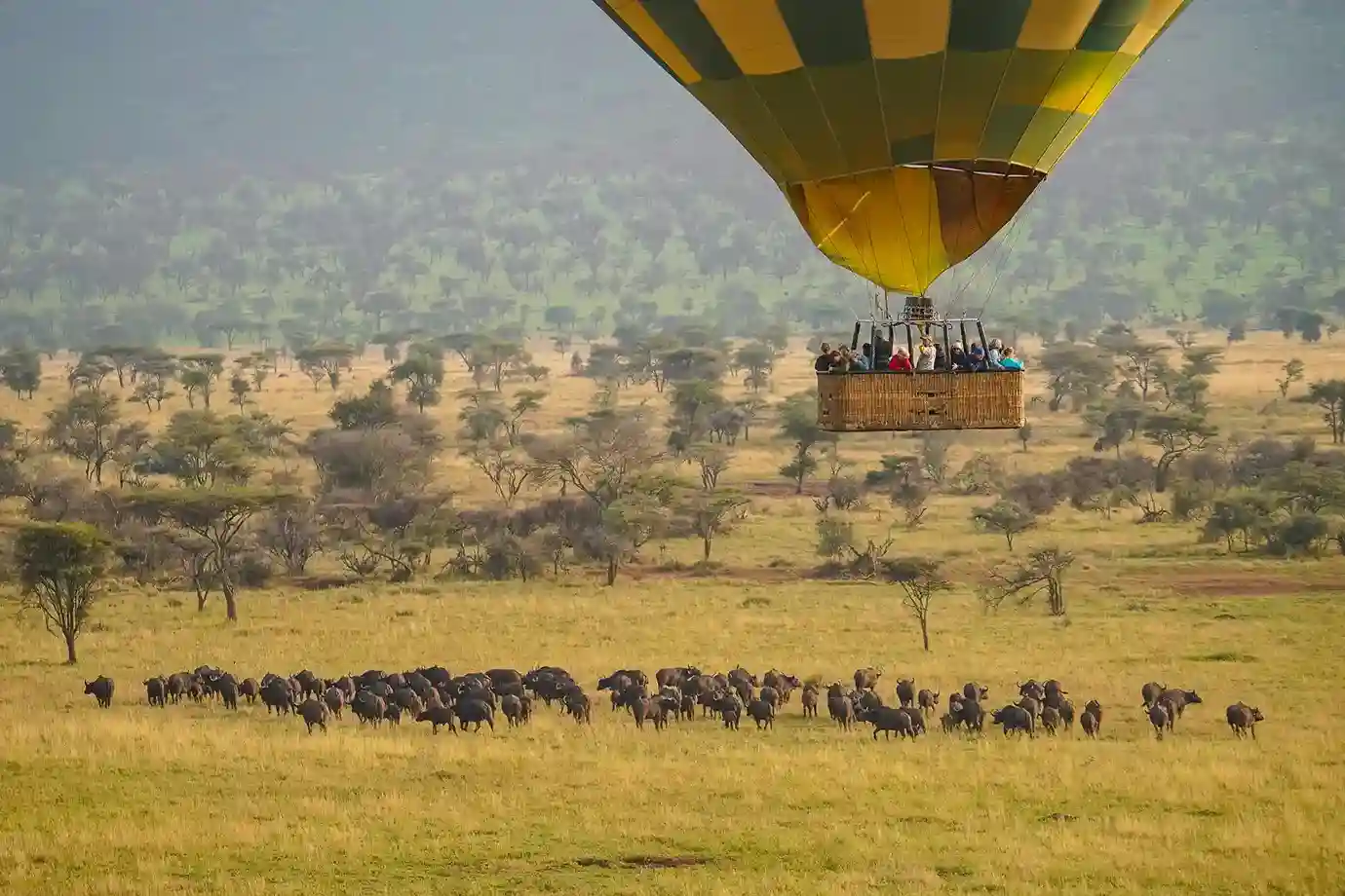 3 Days Luxury Serengeti Road Safari