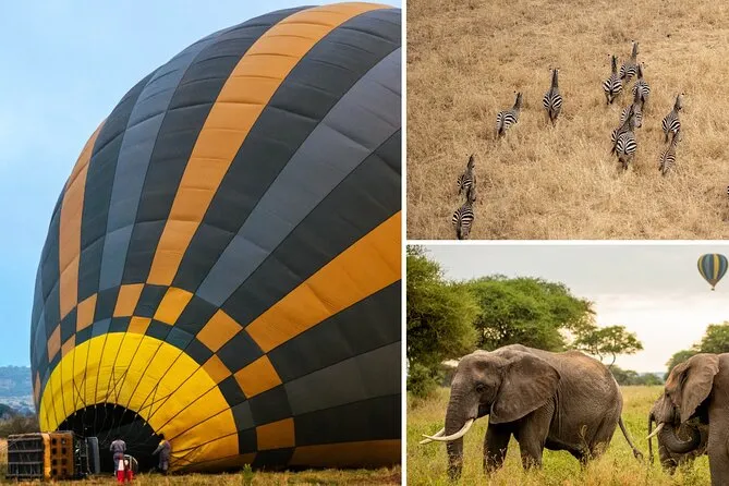 2 Day Luxury Serengeti Fly-In Safari from Zanzibar