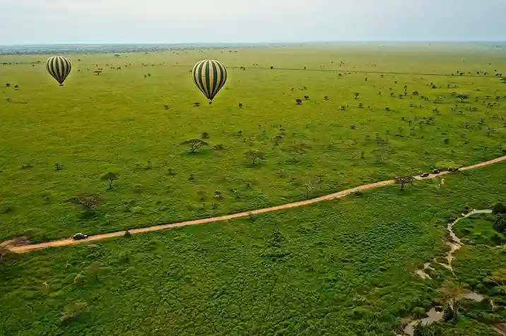 2 Day Luxury Serengeti Fly-In Safari from Zanzibar