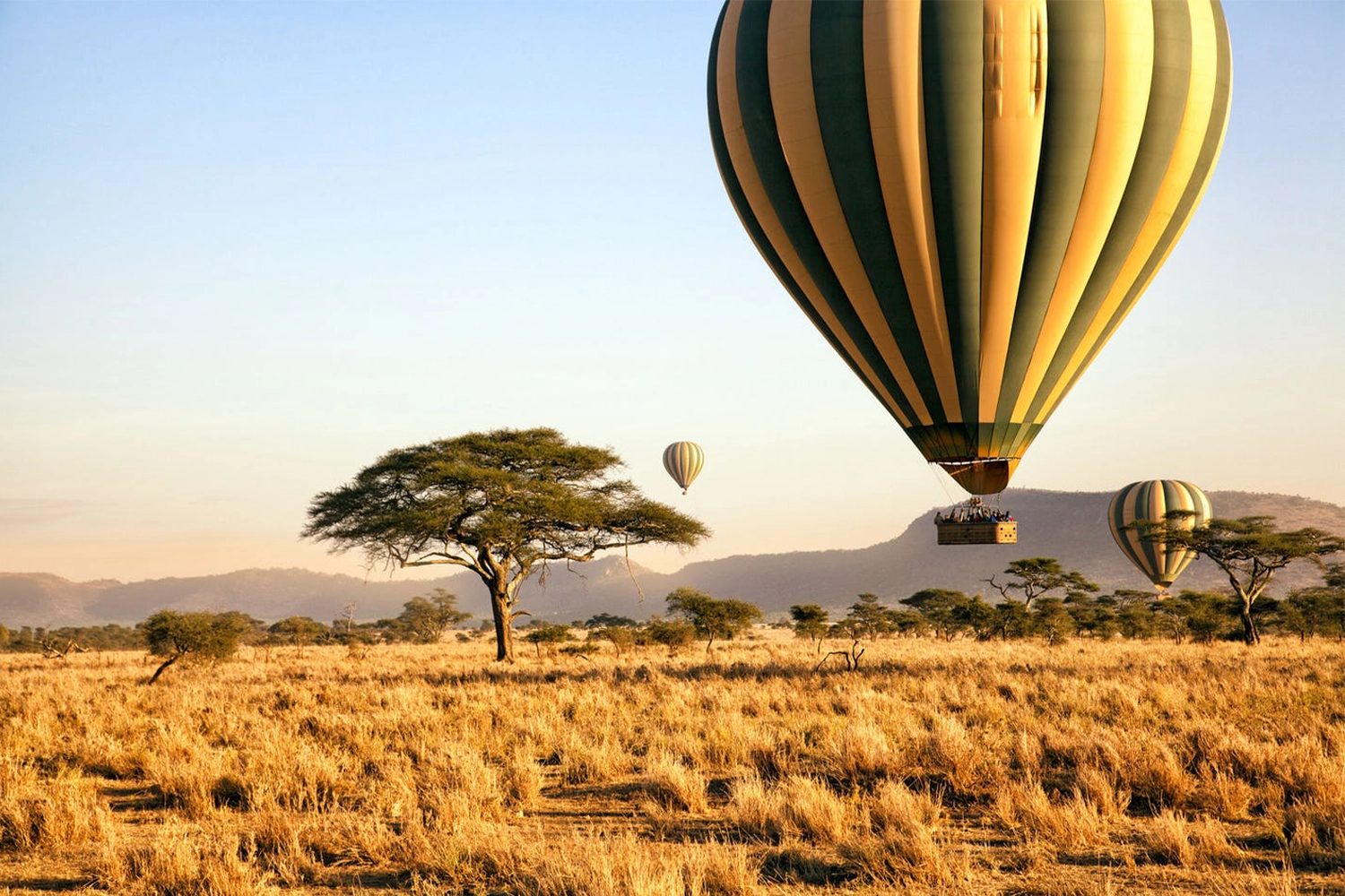 Serengeti Baloon Safari