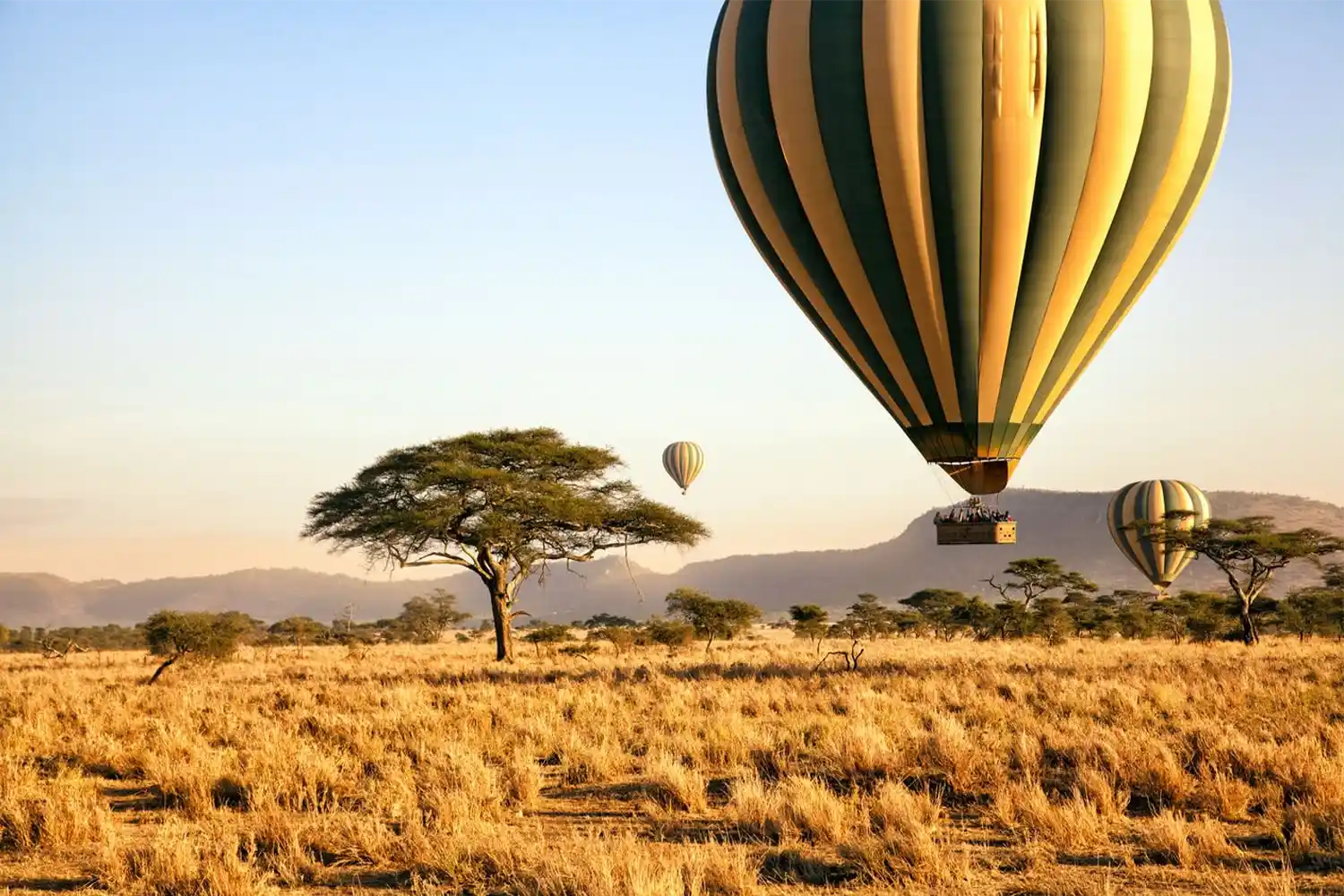 Safari en globus al Serengeti