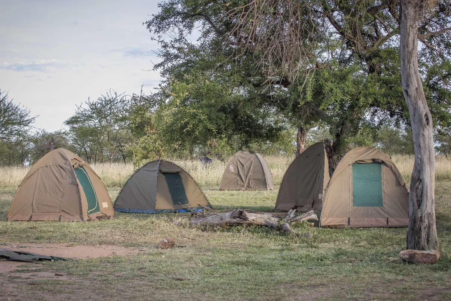 Serengeti Budget Camping