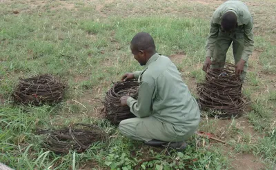 Serengeti Conservation Stakeholders