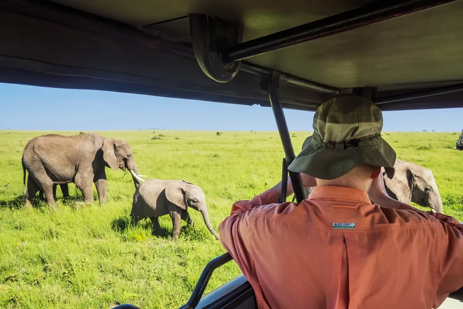 Serengeti Health Precautions