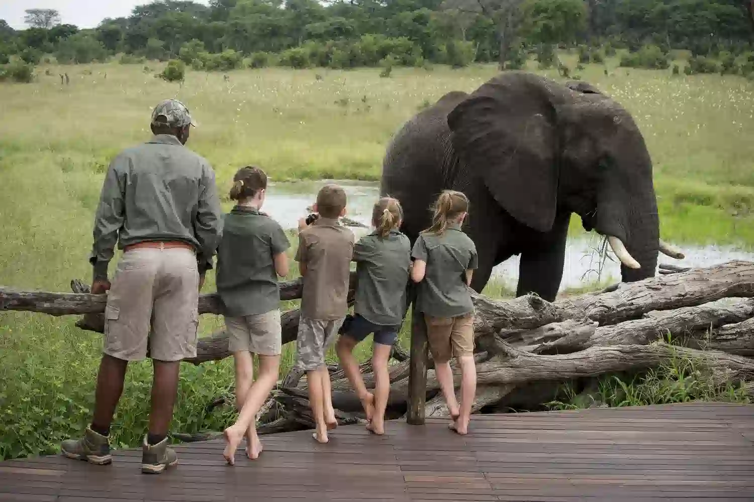 Serengeti Kids Safari Activities