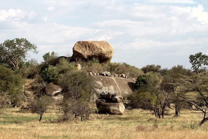 Serengeti Plains Kopjes